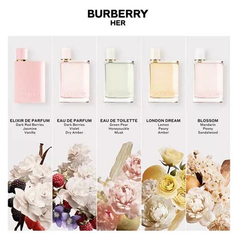 burberry her similar perfumes|burberry her perfume best price.